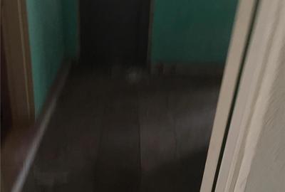 Casă în Sălcioara - 9