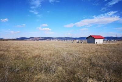 Teren de 5000 mp, în Dudașu - 5