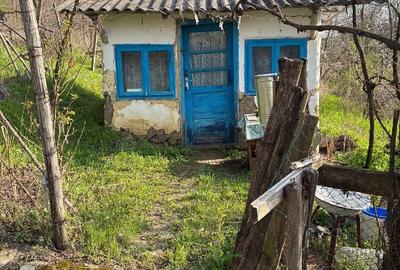 Casă cu Teren 2500 Mp în Banca - 7