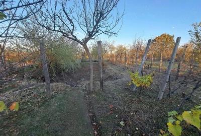 Casă cu 2 camere cu Teren 2800 Mp în Spineni - 1