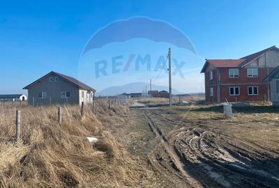 Teren agricol intravilan de 1632 mp, în Cihei - 8