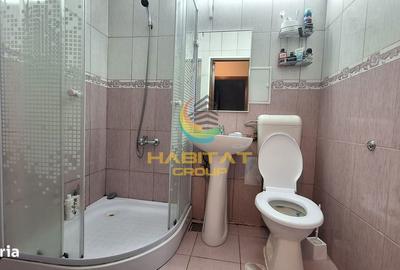 Apartament cu 3 camere decomandat, mobilat în Giurgiului - 13