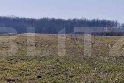 Teren de 10000 mp, în Jibert
