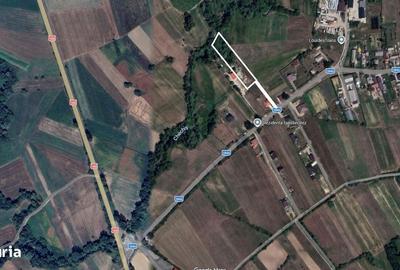 Teren de 2260 mp, în Dumbrăvița
