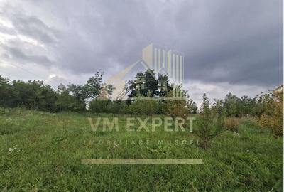 TEREN 20.621 MP CAMPULUNG - 4