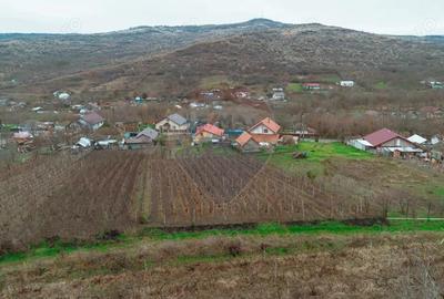 Casa de Om Gospodar - Costuleni - Gradina 1.830 mp -0% Comision 0% TVA - 3