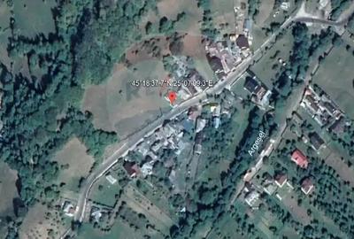 Teren de 6996 mp, în Nămăești