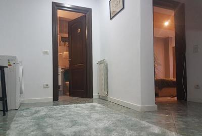 Apartament doua camere, deco, mobilat utilat frumos, Parcul Catedralei - 30