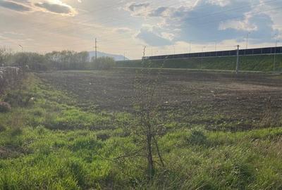 Teren Construcții intravilan de 7500 mp, în Griviței