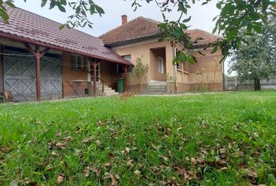 Vand casa iin Seini - 3