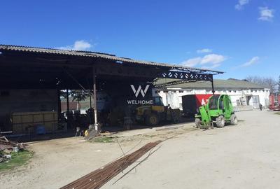 Spatiu industrial-baza depozitare cu cale ferata-Arpasu de Jos - Sibiu - 4