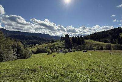 Spațiu comercial, în Colibița - 3