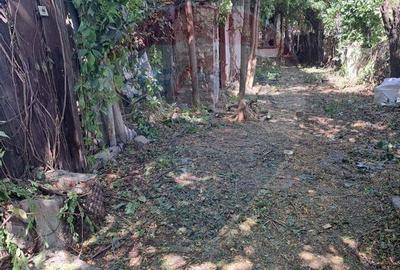 Teren de 847 mp, în Băneasa - 3