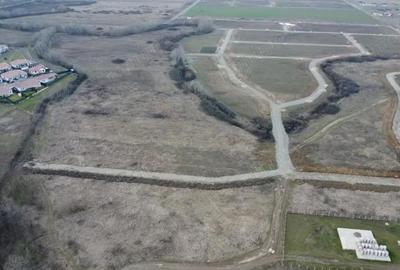 Teren de 5000 mp, în Albina - 3
