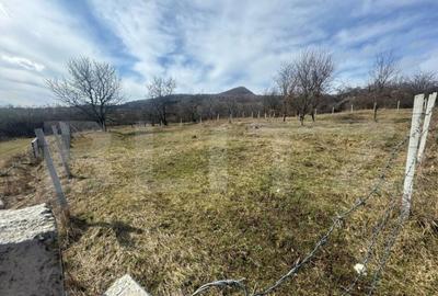 Teren extravilan de vanzare, 1000 mp, zona Valea Rusului - 4