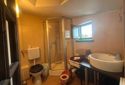 Vanzare - Proprietate cu Potential-Locuinta si Business - 21