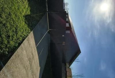 Spațiu comercial, de 130 mp, în Bocsig - 1