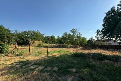 Casa cu teren generos de vanzare Radu Voda, jud. Calara?i - 4