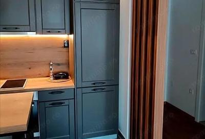 Apartament cu doua camere de inchiriat in zona Drumul Taberei - 5