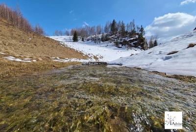 Teren De Vanzare In Sirnea - 38