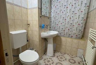 Apartament cu 3 camere semidecomandat în Buzaului - 1