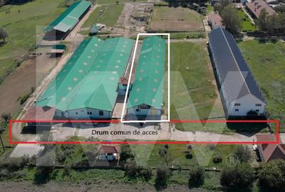 Hala industriala de productie, functionala, 790mp, Rahau, Sebes - 1