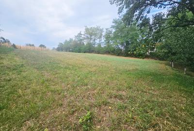 Teren intravilan, cu priveliște spre pădure – Vălenii de Munte - 9