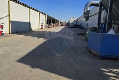 DE VANZARE Hala | 17.230mp | 4MW | 3ha Teren | Sebes | A1 - 6