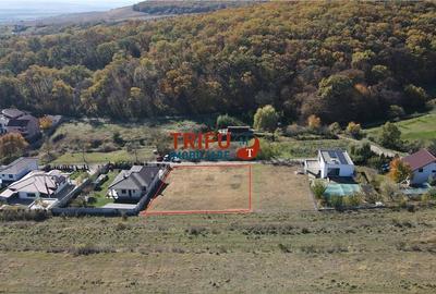 Teren de vânzare 1350 mp cu proiect de casa   în zona Schit - 2