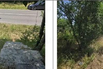 Casa si teren Cucuruzu, ID: R2609648 - 4