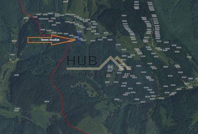 Teren Construcții extravilan de 5800 mp, în Vulcan - 3