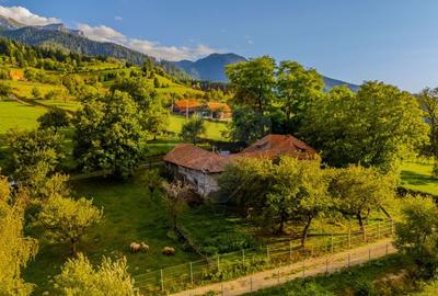 Teren intravilan cu PRIVELISTE UNICA |BRAN, BV| 3,000mp | COMISION 0 | - 12