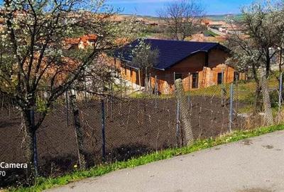 Casă cu 6 camere cu Teren 2200 Mp în Daia Română - 2