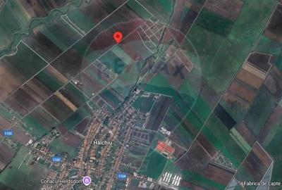 Teren de 30000 mp, în Hălchiu