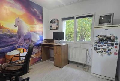 Apartament 4 camere Frumoasa - 5