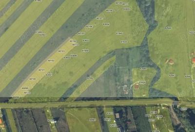 Teren de 7500 mp, în Poieni - 3