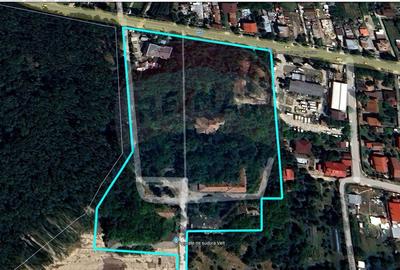 Teren intravilan 2.58 ha/Ciorogarla / Calea Bucuresti - 3