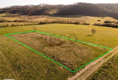 Spațiu comercial, în Betfia - 1