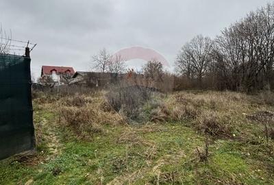 Teren intravilan de 1200 mp, în Satu Nou de Jos - 2