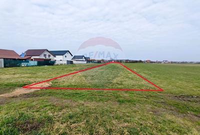 Teren agricol extravilan de 1600 mp, în Șura Mică - 1