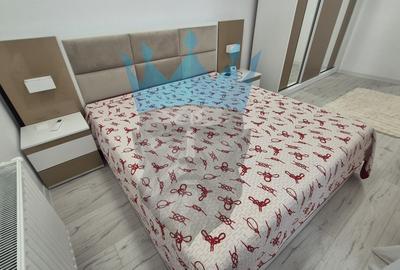 Apartament cu 2 camere semidecomandat, mobilat în Rahova - 8