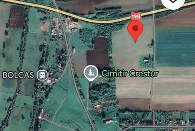 Spațiu comercial, în Crestur - 7