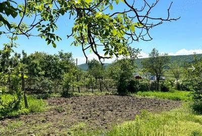 Casă cu 2 camere în Valea Lungă - 4