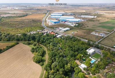 Teren 7.500 mp cu FS 91 m la E70 si Bega - ideal dezvoltare servicii - 6