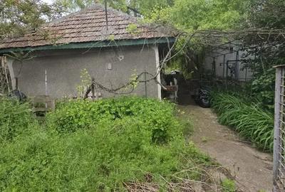 Casă cu 3 camere cu Teren 1066 Mp în Petrăchioaia - 5