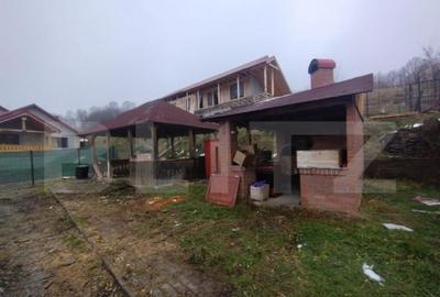 Villa, 500 mp, 7 camere, 3500 mp teren, zona Stramba - 13