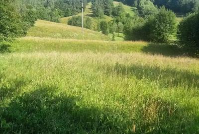 Teren intravilan 6527 mp Stulpicani - Bucovina - 4