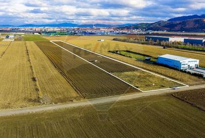 Teren agricol extravilan de 25000 mp, în IAR - 4