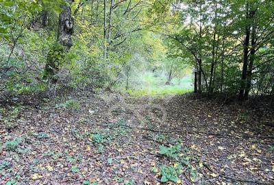 Teren pentru casa de vacanta pe Valea Bratcutei, Bihor - 5