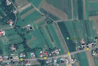 Teren de 7500 mp, în Horodnic - 2